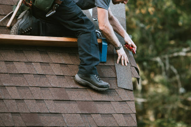 Best Roof Moss and Algae Removal  in Steiner Ranch, TX